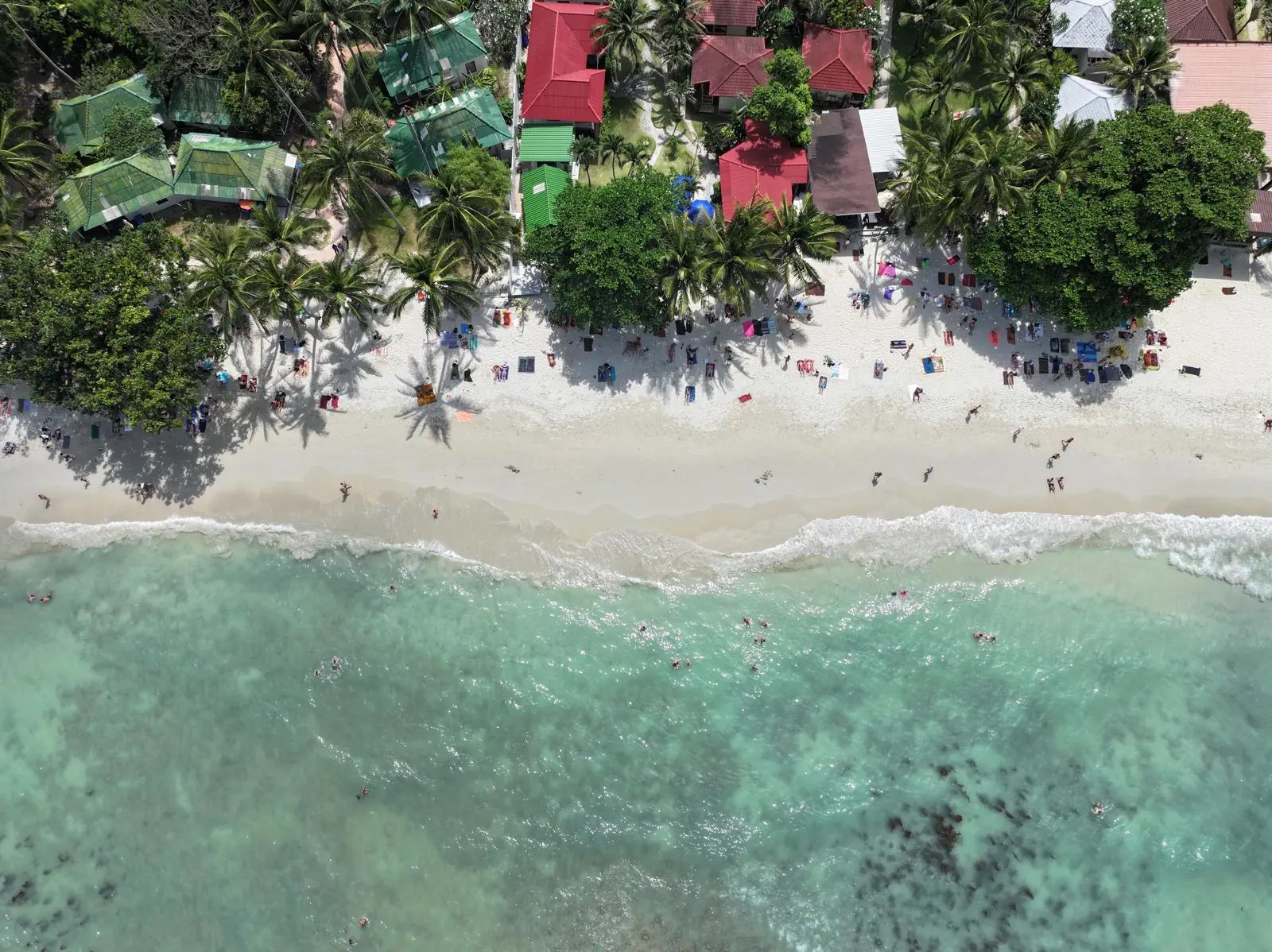 Aerial view of Silver Beach, Koh Samui — swimmers in clear turquoise water beside white sand and palm trees